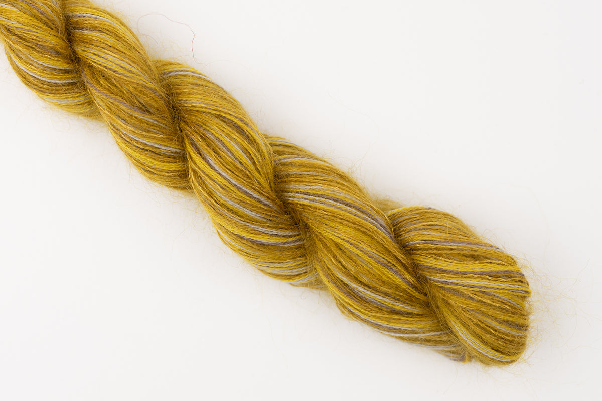 Marl 5 x Cecelia Campochiaro